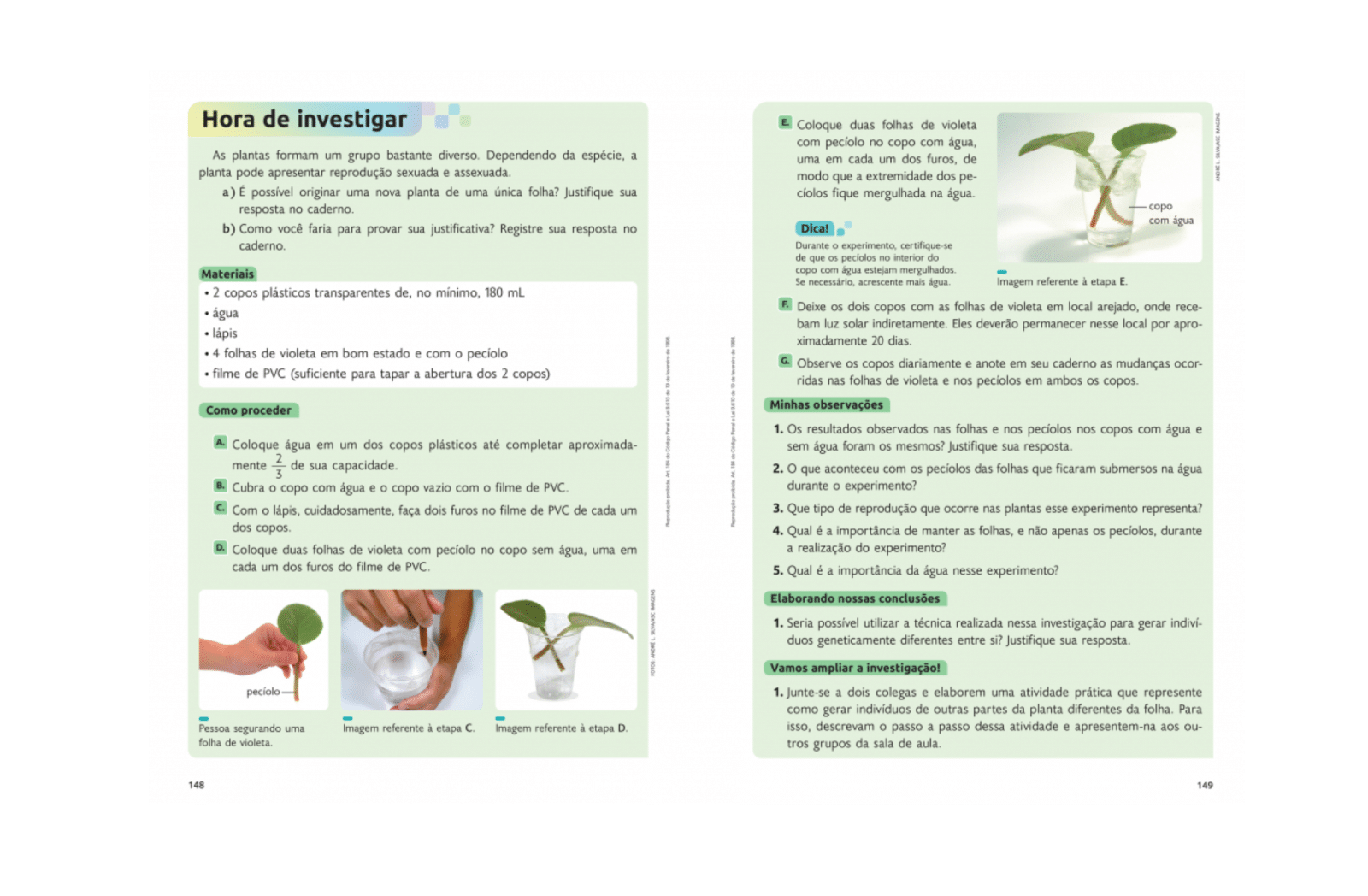 Seção “Hora de investigar”
Seção com atividades e experimentos que despertam a curiosidade científica do estudante.