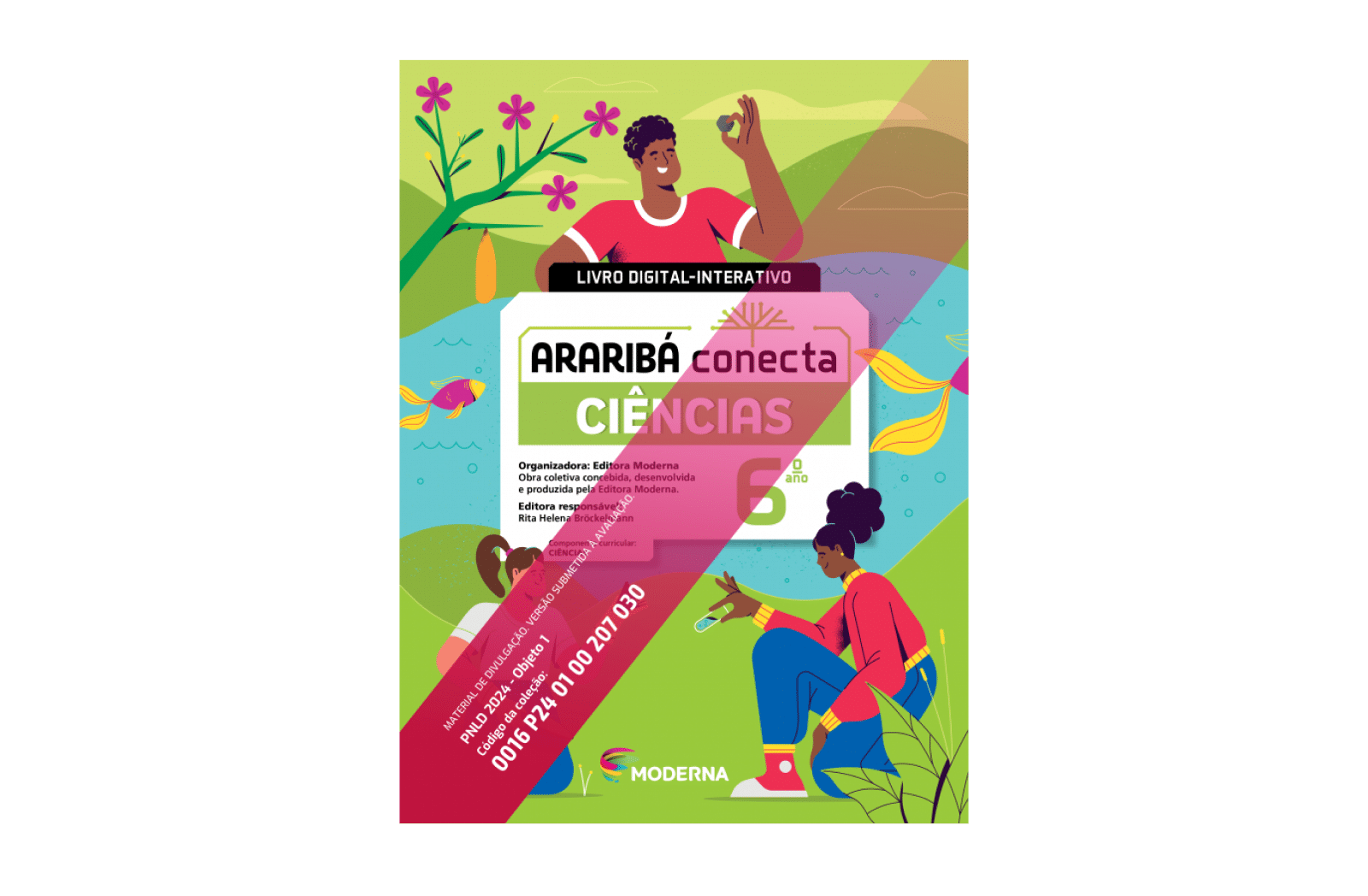 Imagem principal do livro